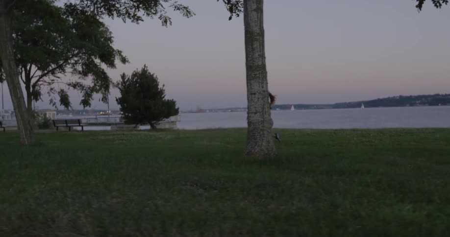 A female is jogging in a park near a harbor