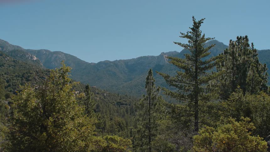 A serene wide shot of a lush green mountain range and forest under a clear blue sky