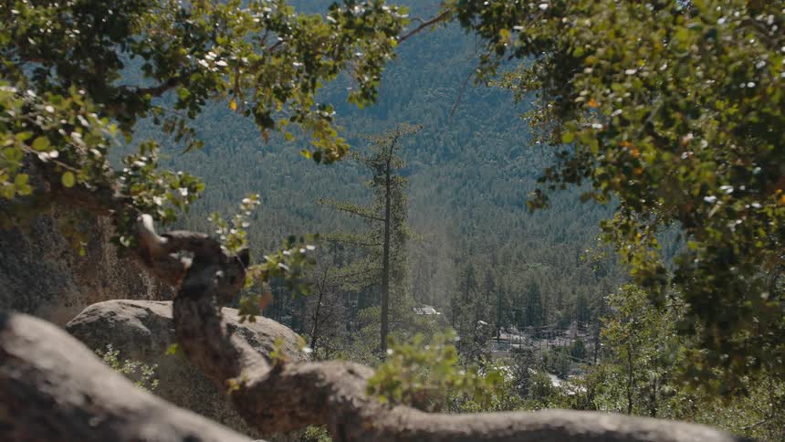 A dramatic vertigo effect shot zooms into a vast mountain forest valley framed by leafy tree branches