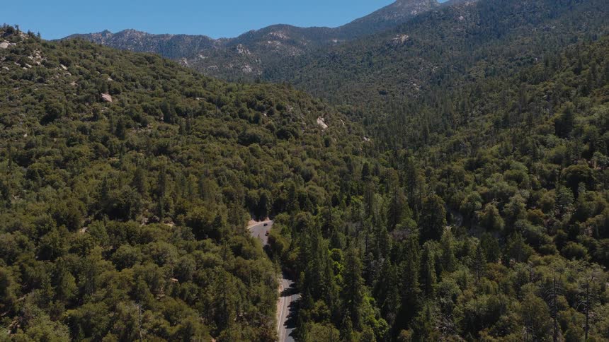 A stunning aerial view of a winding road cutting through a vast, dense green forest in the mountains on a clear day