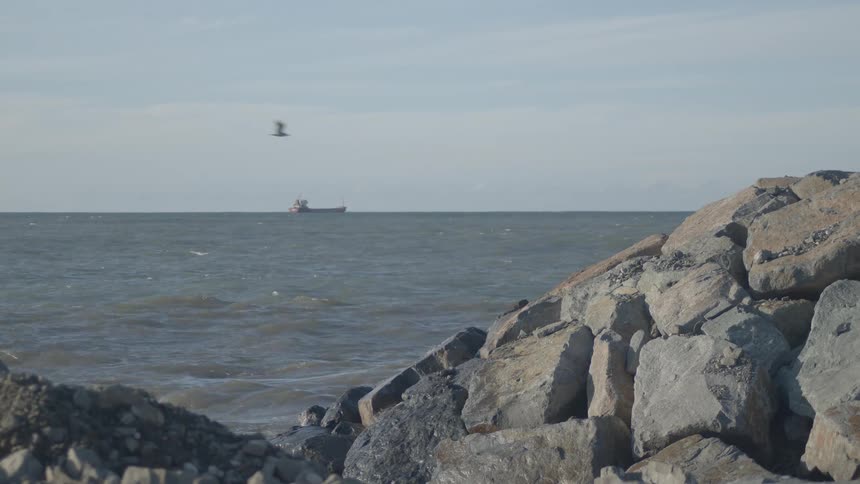 A tranquil view from a rocky breakwater of a distant cargo ship on the ocean as a bird flies by in slow motion