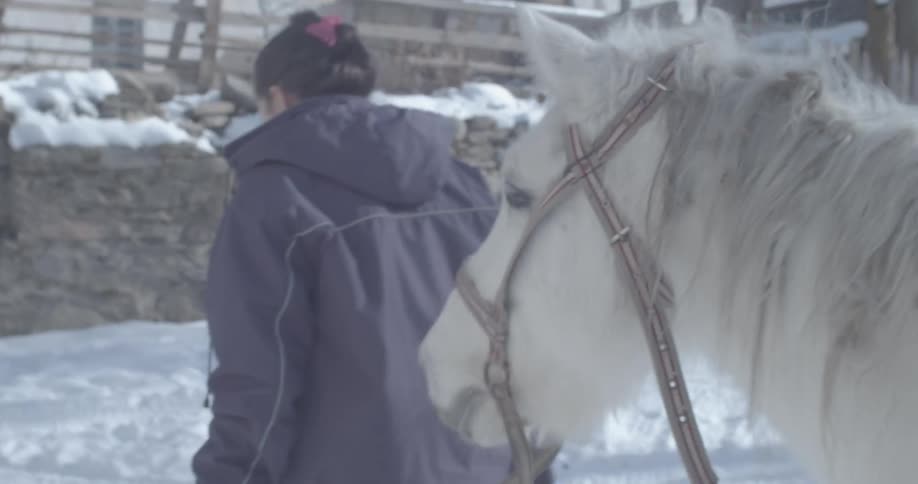 A woman leads a white horse through a snowy village in slow motion as a small dog trots alongside