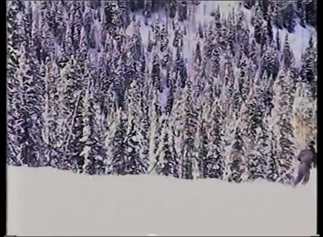 Vintage footage shows a person skiing down a snowy mountain slope with a vast winter landscape in the background