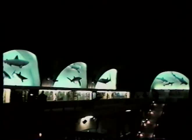 Vintage footage pans across a dimly lit museum, showcasing beautifully illuminated displays of various fish and shark species