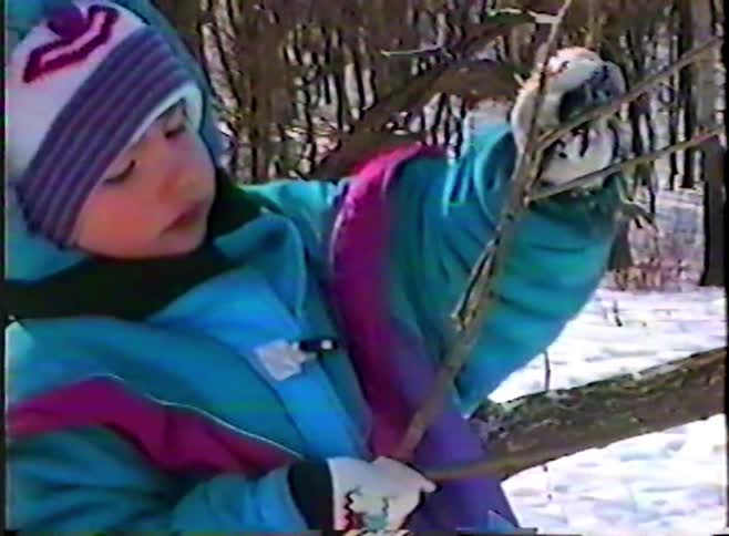 A close-up of an adorable toddler in a colorful winter snowsuit curiously examining tree branches in a snowy forest