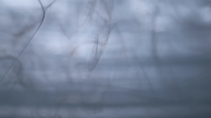 Dark wisps of smoke or ink swirl and dissipate slowly in this moody and abstract shot