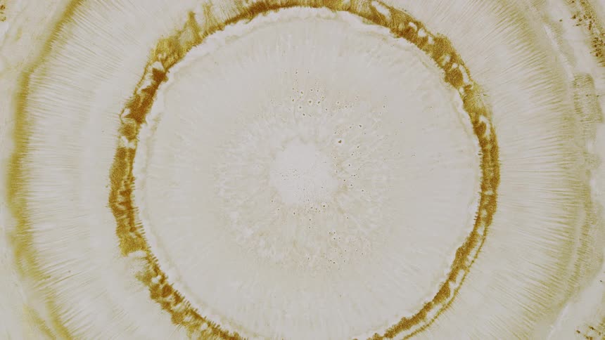 A mesmerizing top-down view shows a needle injecting a substance that causes beautiful golden crystalline rings to expand outward like tree rings