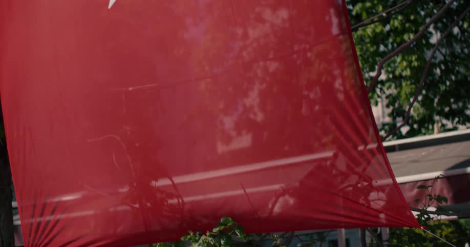 A stray dog rests on a sunny sidewalk before the camera tilts up to a large Turkish flag hanging in a park
