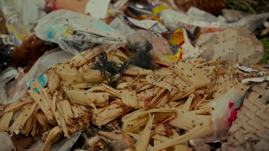 A massive swarm of flies crawls over a disgusting pile of rotting food waste and garbage