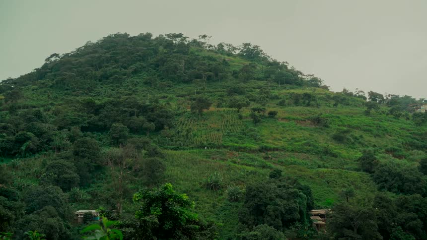 A static view of a lush green mountain with agricultural plots carved into its side on an overcast day