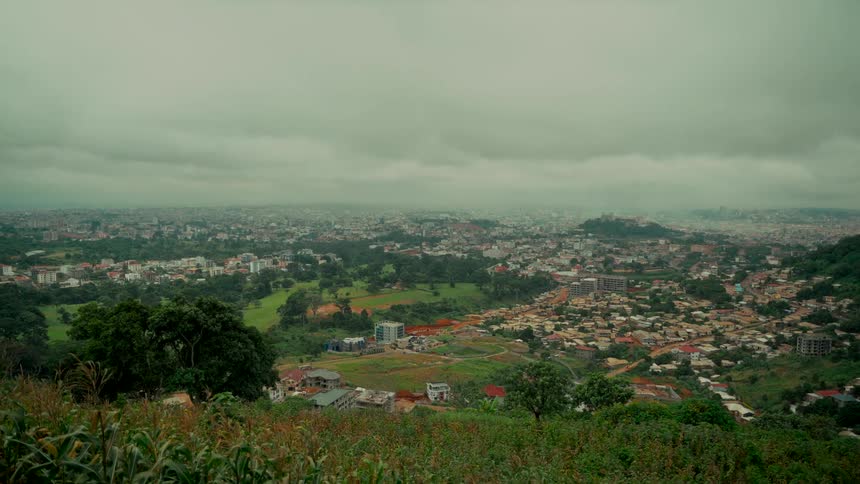 A wide, scenic view of a sprawling city from a green hillside on a cloudy, overcast day