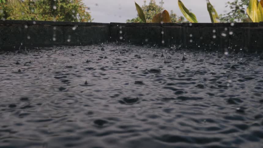 Raindrops fall in slow motion, creating mesmerizing patterns on the surface of a tranquil pool