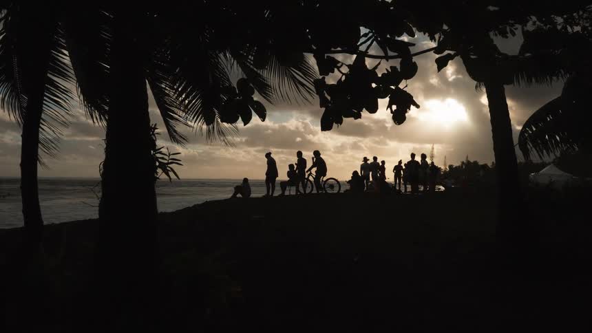 A silhouetted group of people watch the sunset over the ocean from a tropical cliff surrounded by palm trees