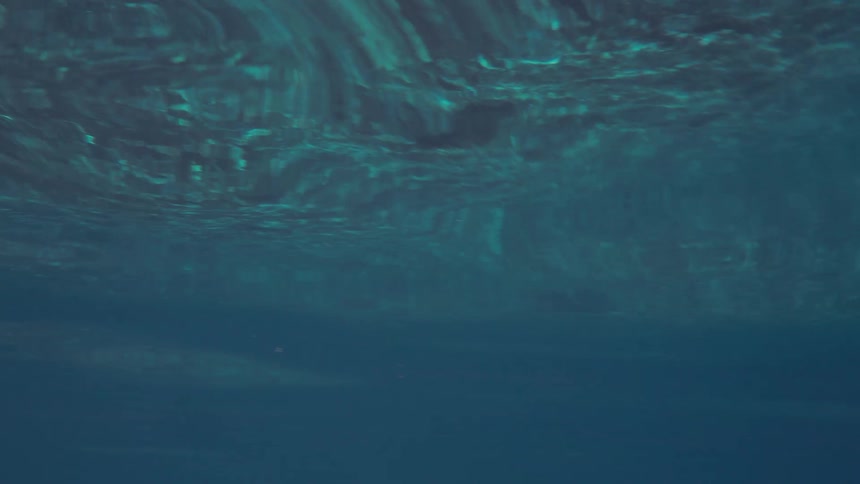 Hypnotic ripples and reflections on the deep blue water's surface seen from an underwater perspective