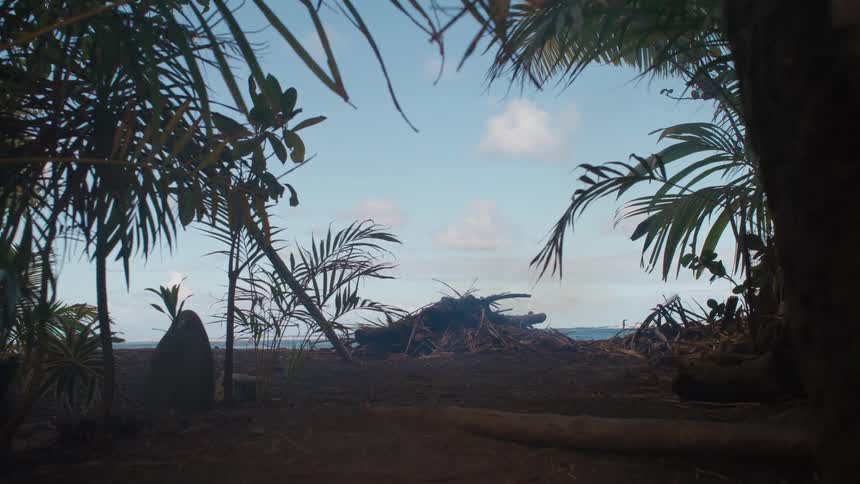 A smoking bonfire on a remote tropical beach framed by the dark jungle foliage
