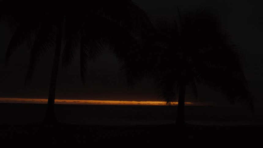 A sliver of golden light appears on the dark ocean horizon at sunrise, framed by silhouetted palm trees