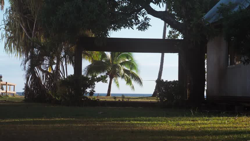 A perfectly framed view shows a single palm tree and the ocean from a shady tropical yard as a person walks by