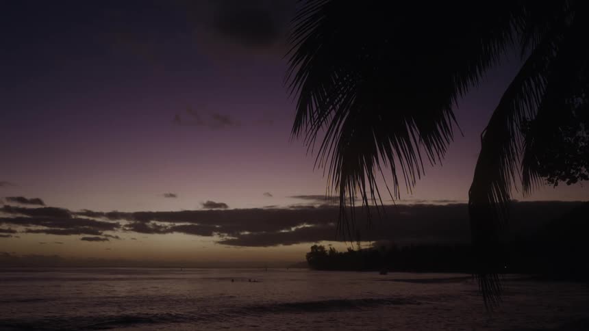 A serene view of a purple twilight sky over the ocean with a silhouetted palm tree in the foreground