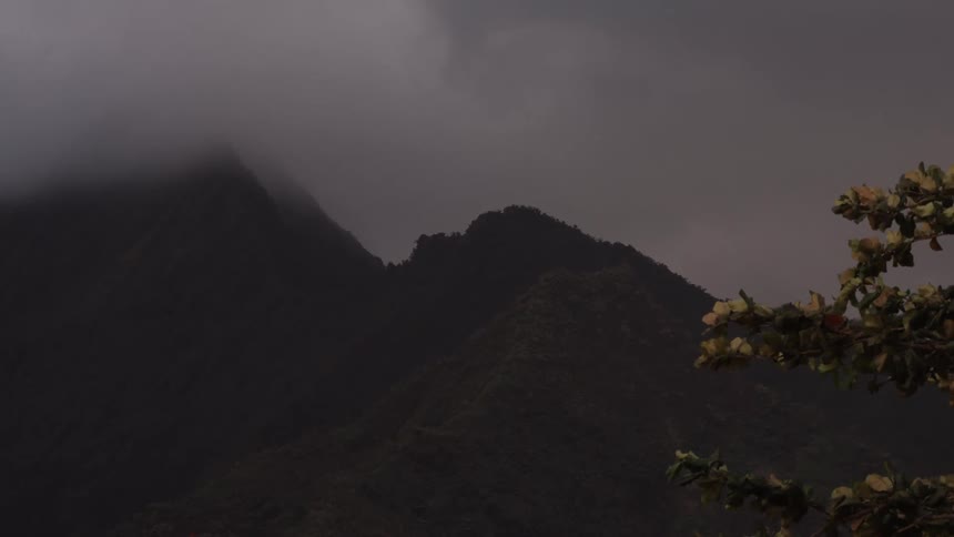 Ominous storm clouds hover over a dark, foggy mountain range as wind blows through a tree branch
