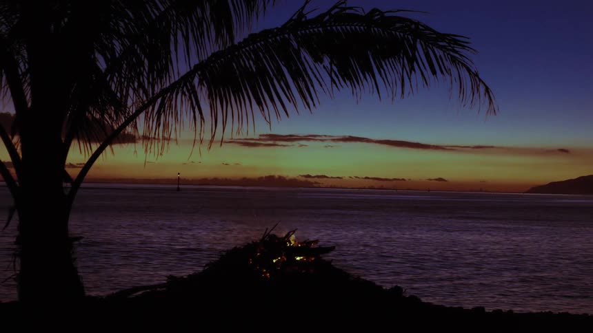 A tranquil bonfire burns on a tropical beach at sunset with a palm tree silhouetted against the colorful sky