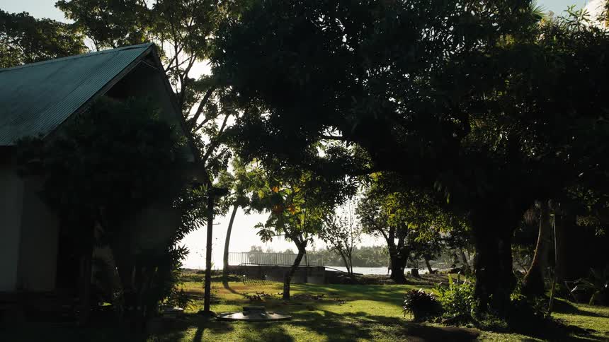 Sunlight filters through lush tropical trees in a coastal backyard as the camera slowly pulls back to reveal the shoreline