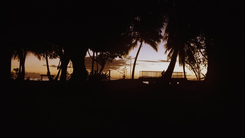 A silhouetted person rides a bicycle along a tropical promenade with palm trees during a beautiful sunset
