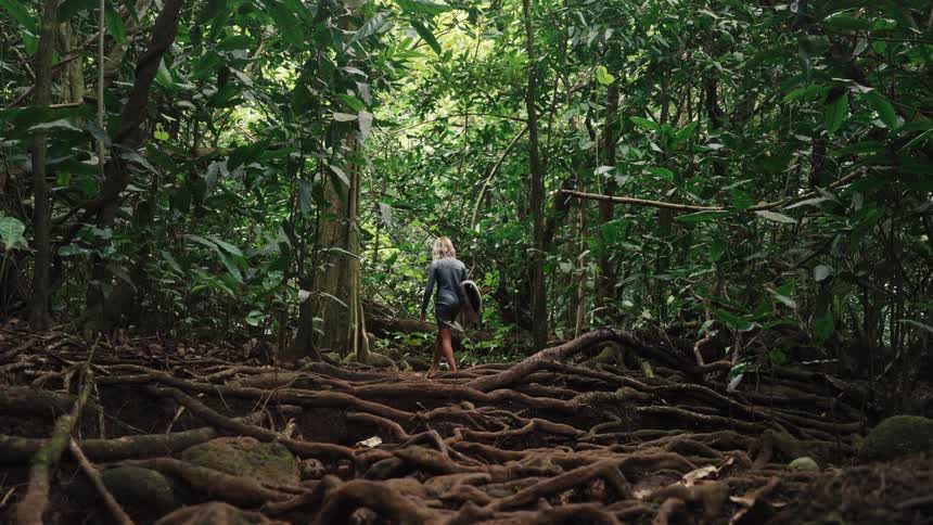A surfer with a surfboard carefully walks barefoot through a lush tropical jungle, navigating over a network of tangled tree roots