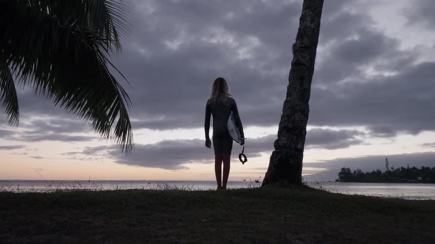 A lone surfer in a wetsuit stands with their board on a grassy shore, silhouetted against a cloudy dawn sky over the ocean