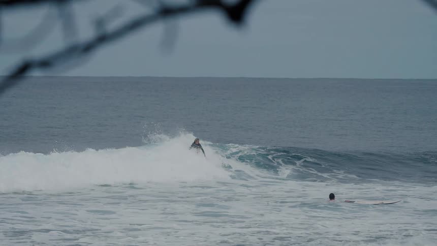A surfer skillfully glides along a breaking ocean wave in super slow motion, viewed from the shore through silhouetted tree branches