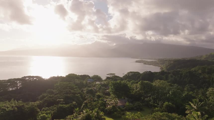A breathtaking aerial shot flies over a dense tropical forest towards a sun-drenched bay with majestic mountains in the distance