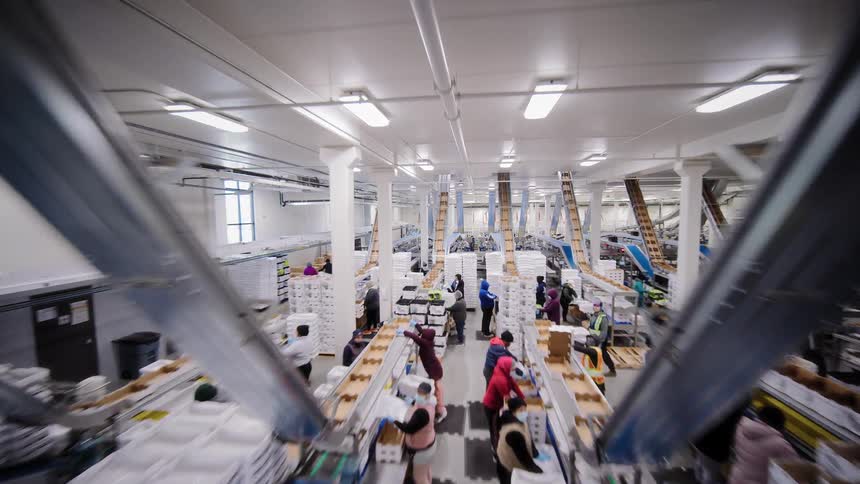 A sweeping aerial view of a bustling food packaging facility where workers and automated machinery sort and process fresh produce on conveyor belts