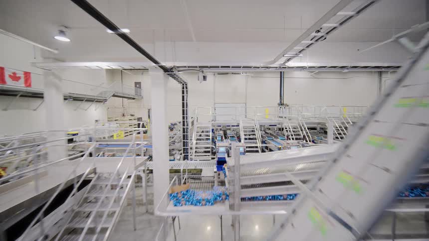 A smooth, moving shot through a massive, multi-level food packaging facility, following automated conveyor belts and showing workers sorting produce