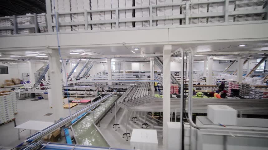 A comprehensive fly-through of a large, modern, and highly automated food processing and packaging plant