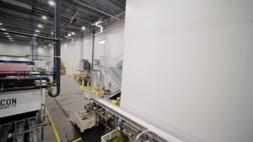 High-angle dolly shot reveals the intricate automated machinery and conveyor belts sorting fresh red cherries in a modern food factory