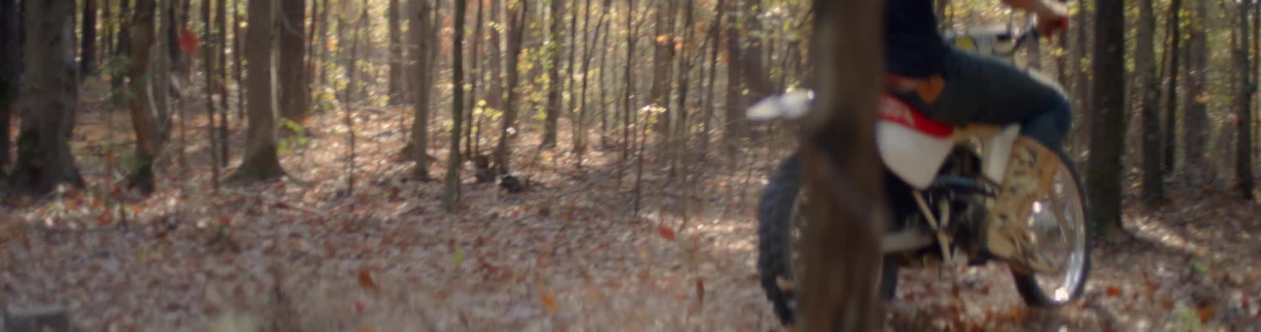 A man is riding his motorcycle in a forest during the day