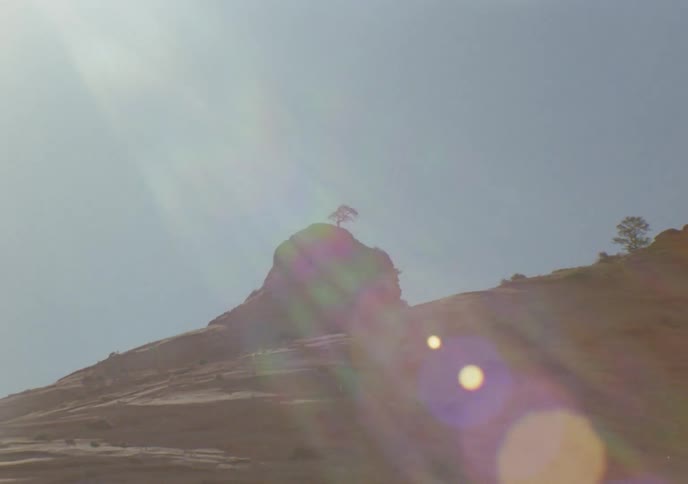 A slow zoom out reveals a single tree standing alone on a sun-baked red rock mountain peak