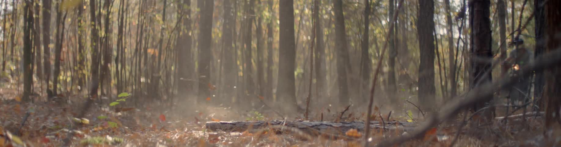 A bike rides through a thick forest