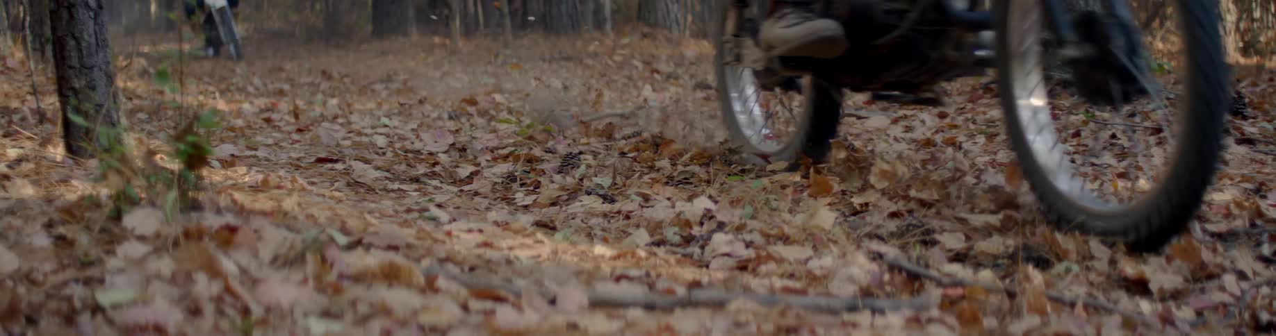 Person rides dirt bike through leaves in the forest