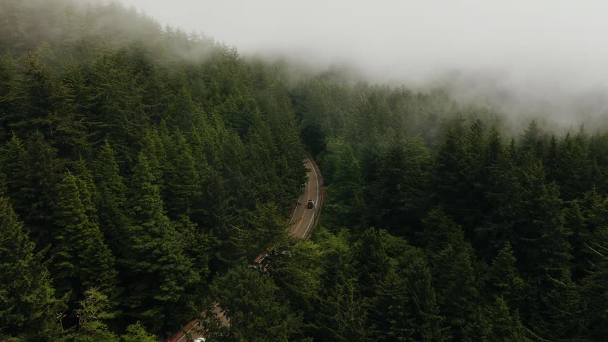 An aerial view of a winding road with cars driving through a dense, foggy evergreen forest