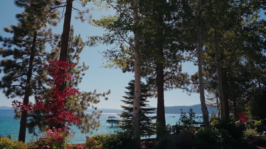 A serene view of a pristine lake and pier framed by vibrant trees on a sunny day