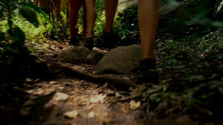 Low angle slow motion shot of a group of people's feet hiking on a rocky trail through a sun-dappled jungle