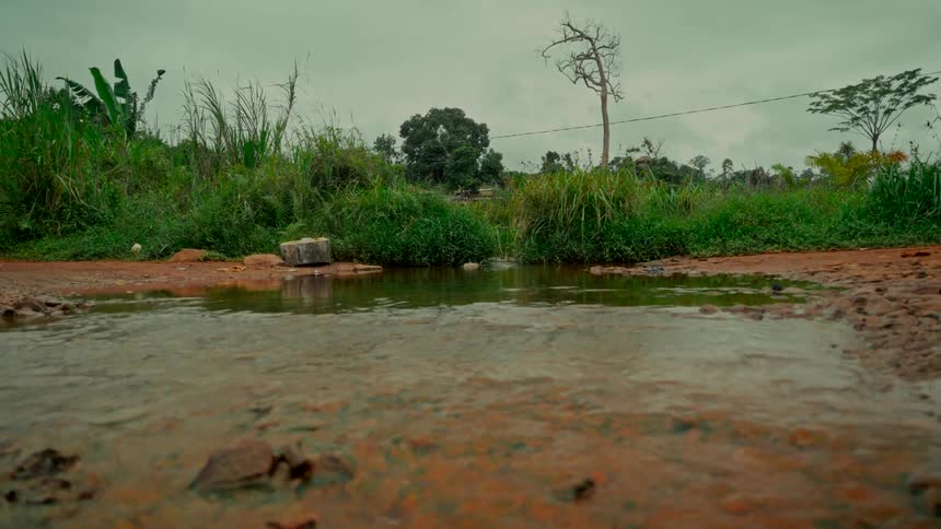 Calm water flows over a rustic dirt path surrounded by overgrown green foliage under a cloudy sky
