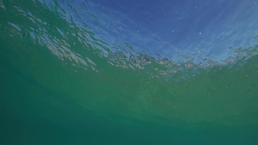 A serene underwater view looking up at the gentle ripples of the ocean surface against a clear blue sky