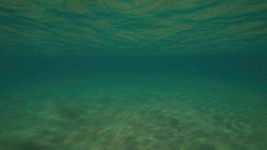 An underwater view of the sandy sea floor as gentle waves ripple on the surface above
