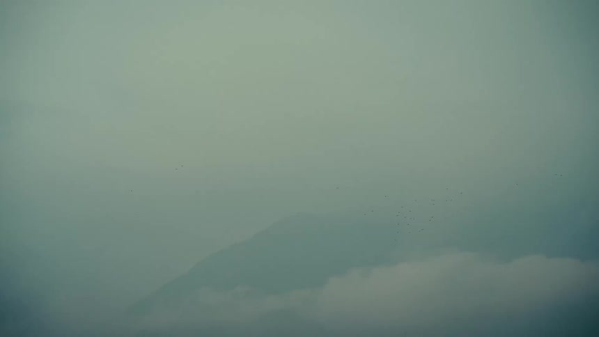 A flock of birds gracefully soars through a thick, atmospheric fog, with the faint silhouette of a mountain peak visible in the distance