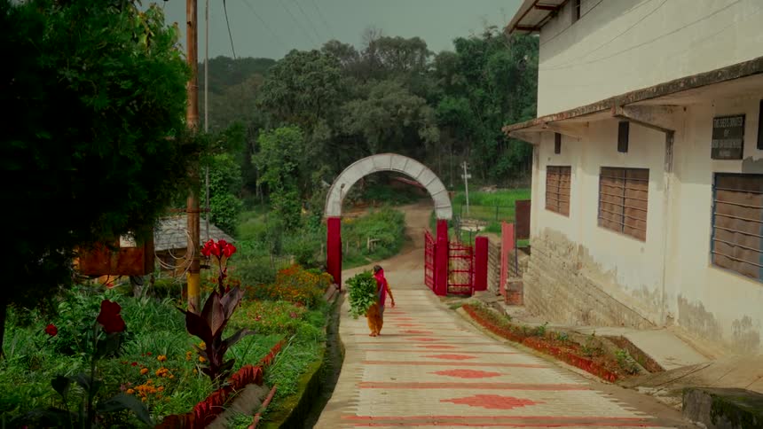 A woman in traditional Indian attire carries a large bundle of green leaves down a stone path in a rural village