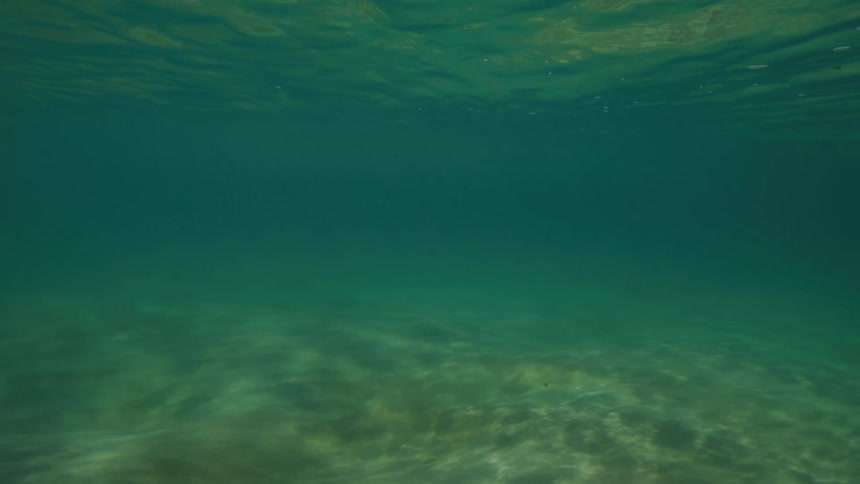 A serene underwater view shows sunlight creating caustic patterns on the sandy ocean floor