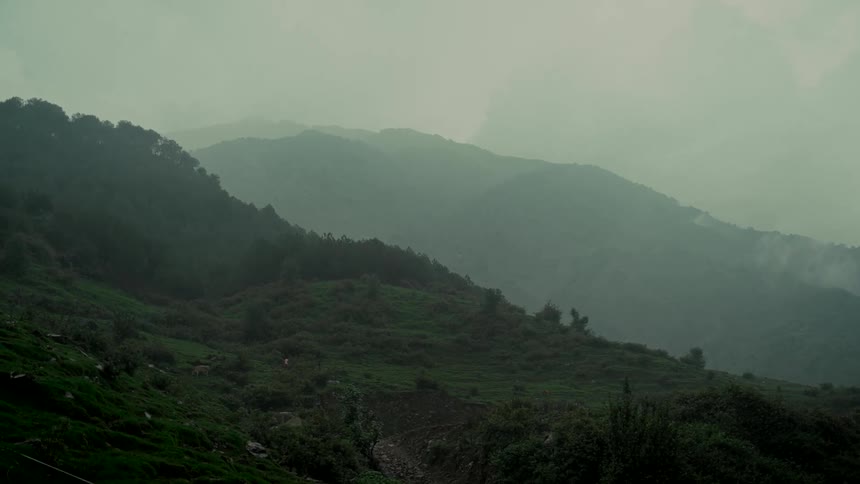 A wide shot of lush green mountains shrouded in a thick layer of fog on a cloudy day, with a lone cow grazing on the hillside