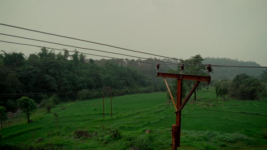 Power lines cut across a serene view of green rice paddies and forested hills on a cloudy day
