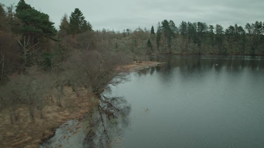 A slow aerial shot follows the edge of a calm lake surrounded by a dormant forest on a gloomy, overcast day